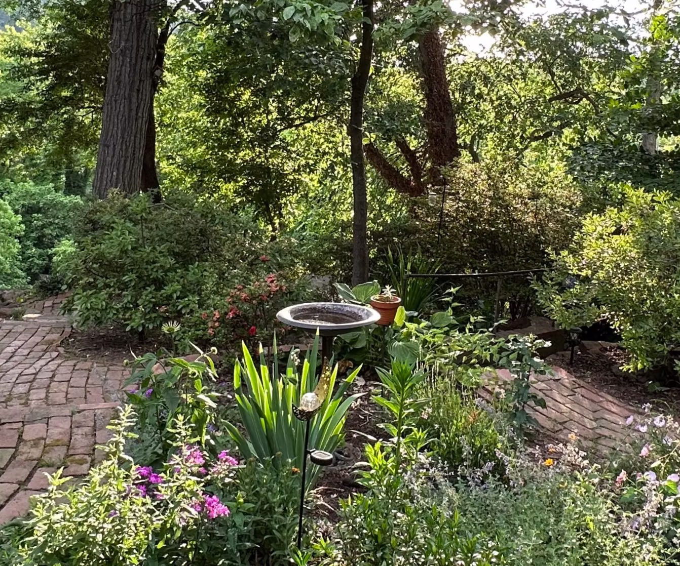 Garden scene with trees, bushes, flowers, and a birdbath, sunlight filtering through leaves, brick pathway visible, lush greenery.