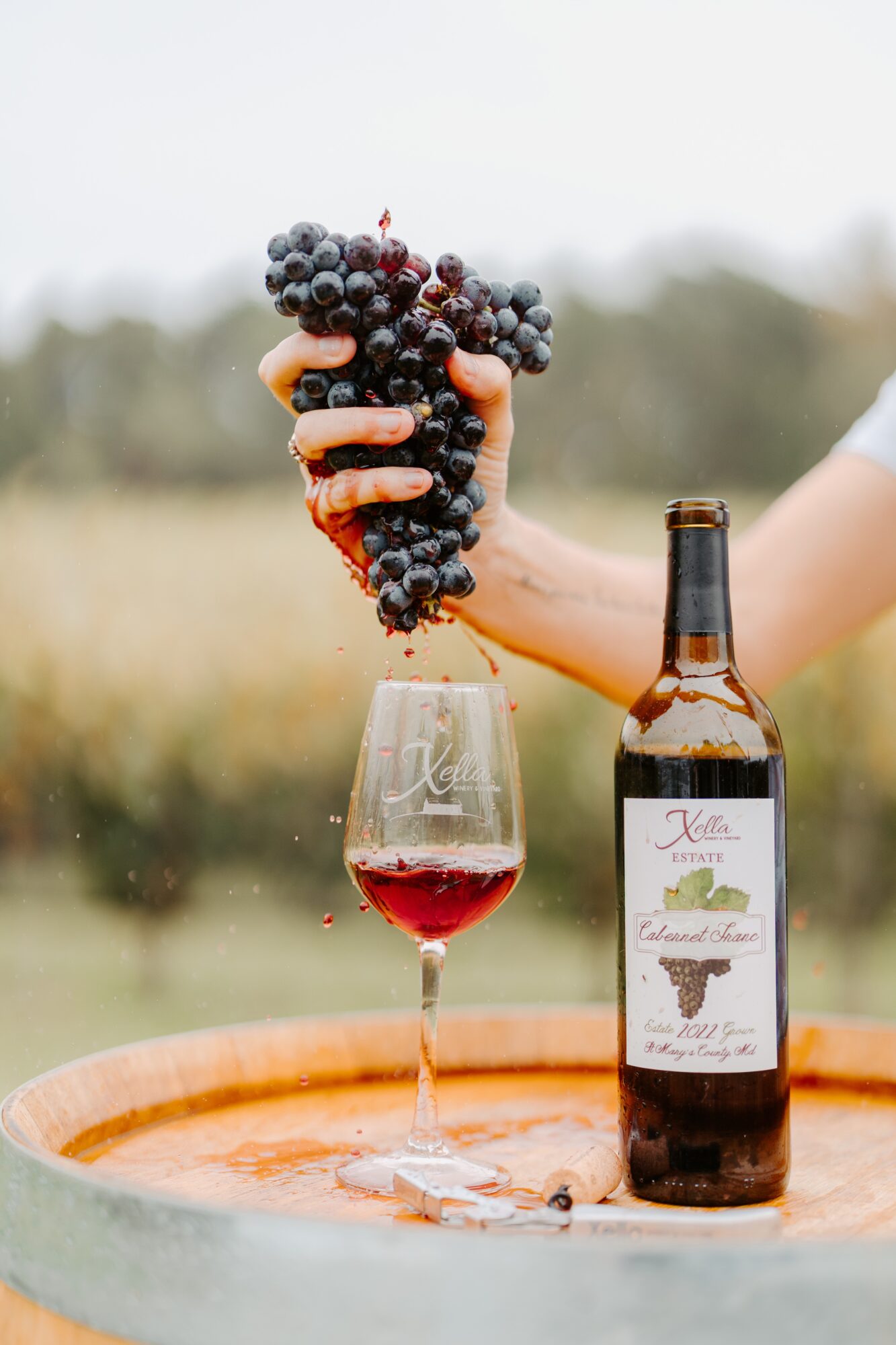 Person holding a bunch of grapes over a glass of red wine outdoors, with a wine bottle nearby, in a natural setting.