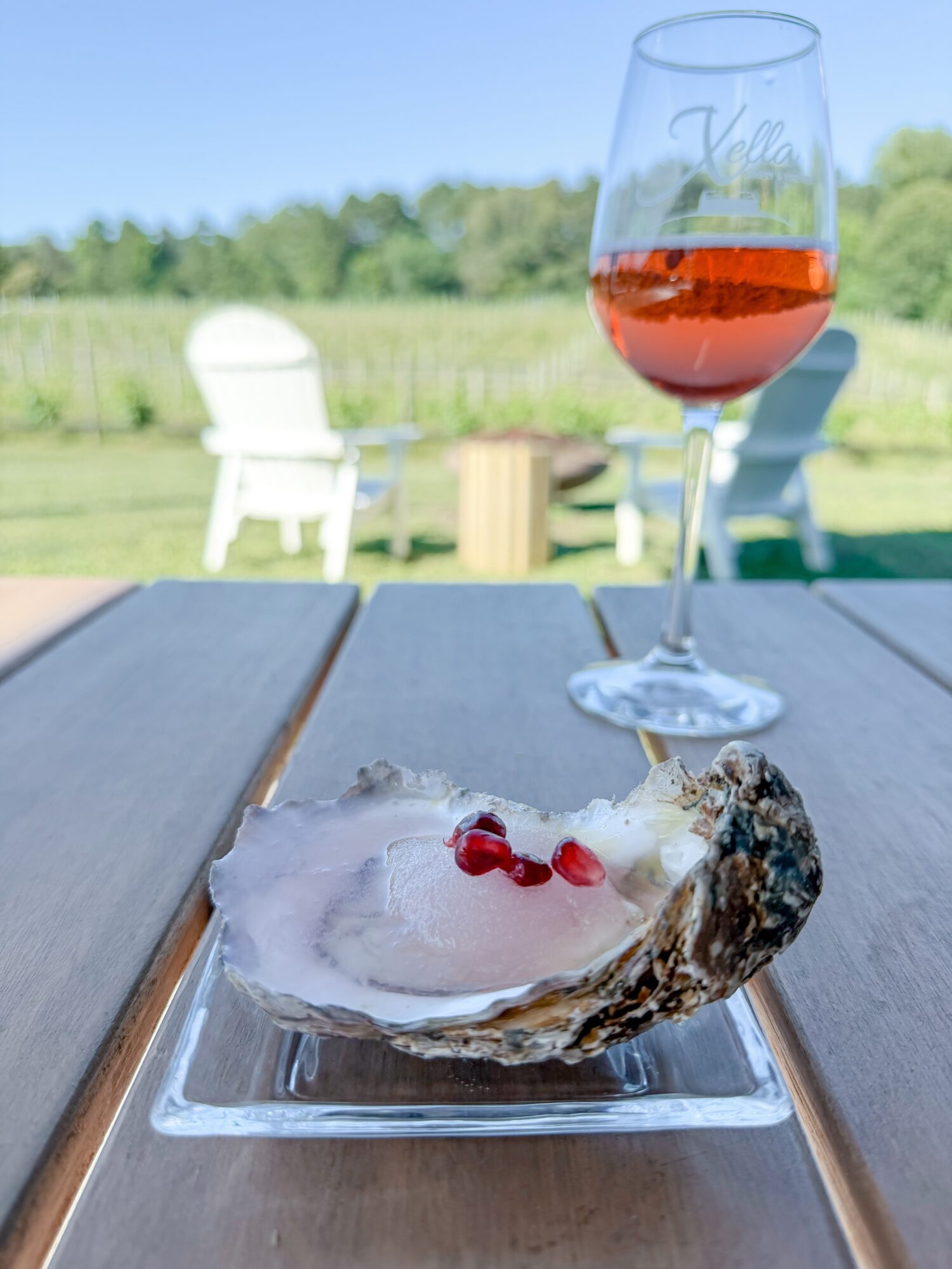Oyster on a plate with red garnish, glass of rosé wine outdoors, green landscape background, wooden table.
