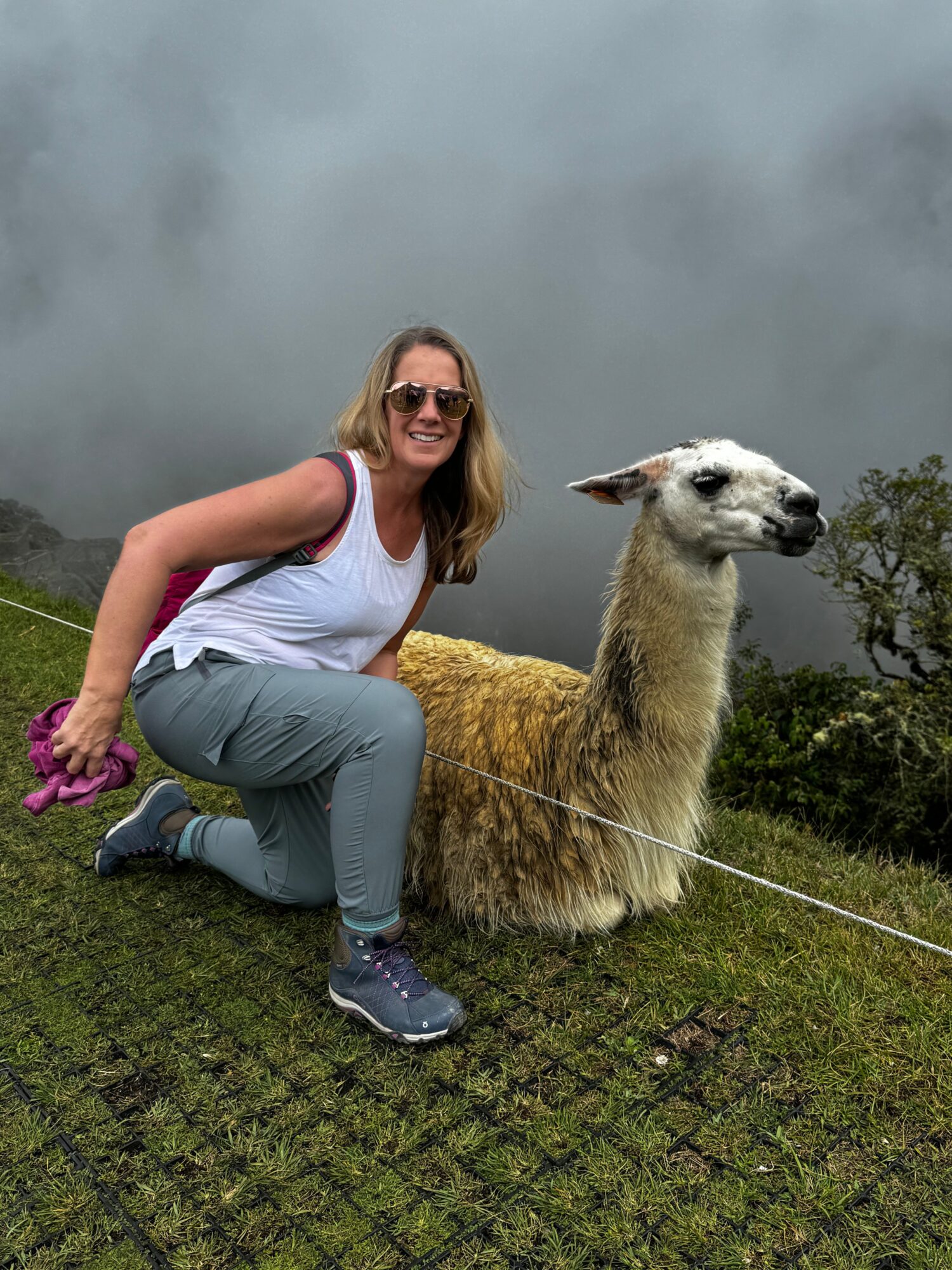 Woman with sunglasses and a dog on a leash outdoors on cloudy day, grassy area, and fence in background.