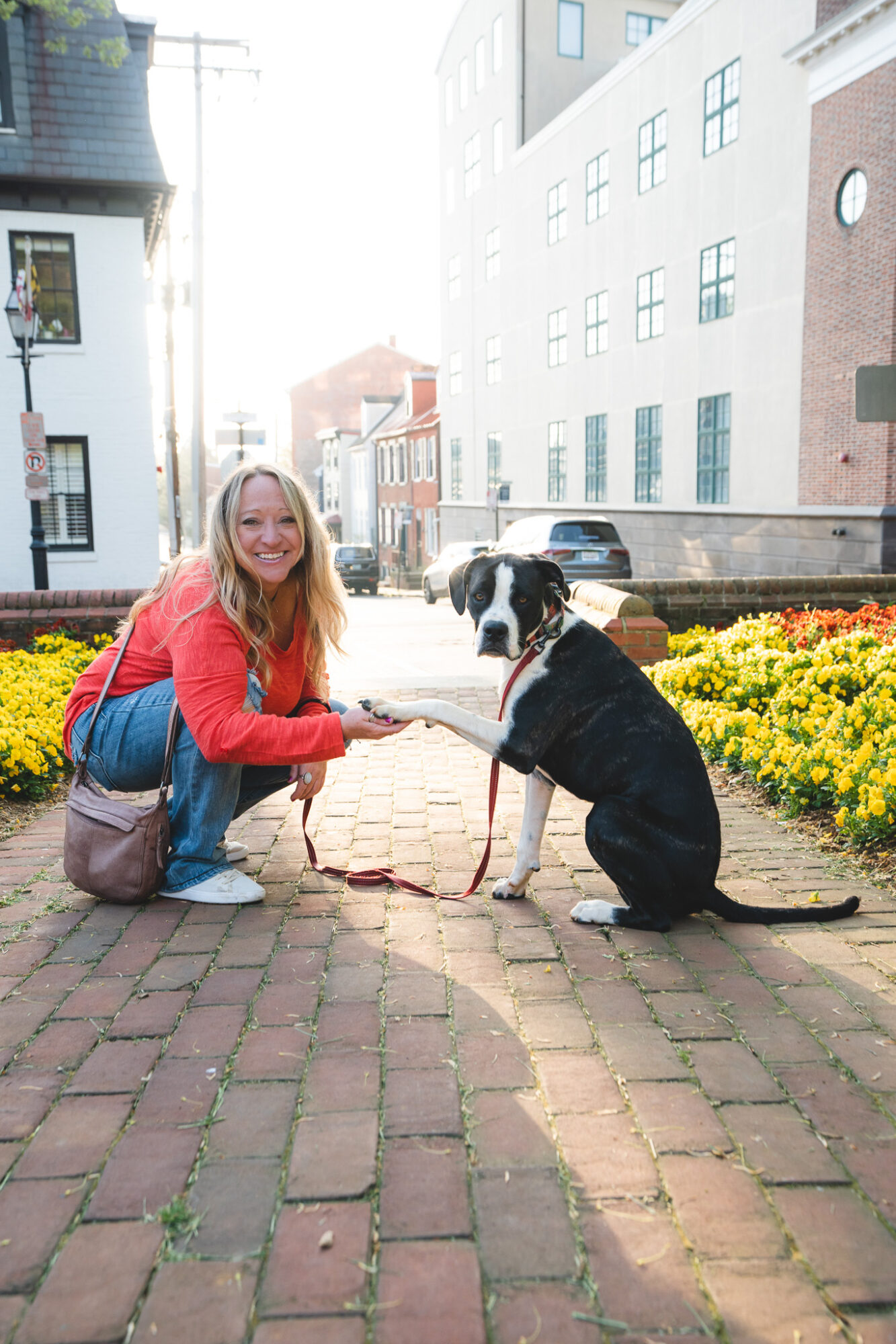 Woman kneeling and shaking hands with a large black and white dog on a brick sidewalk, with yellow flowers and buildings in background.