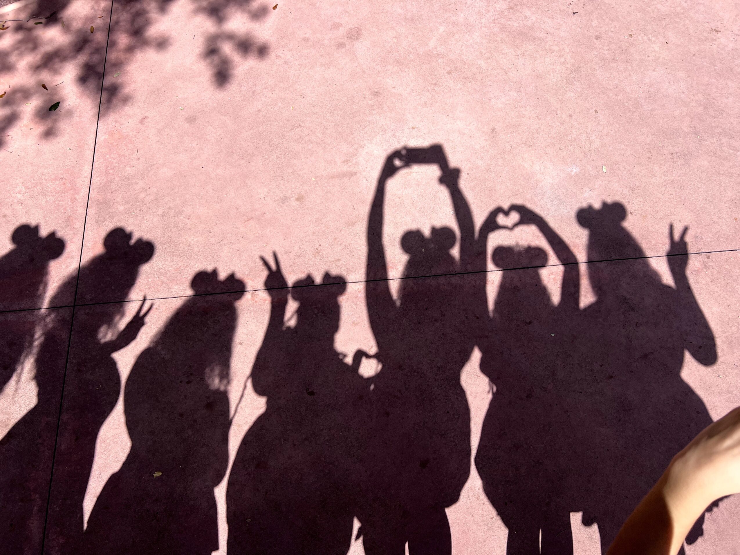 Shadows of six people on a pinkish ground, some making peace signs and holding hands, with a tree shadow in the corner.