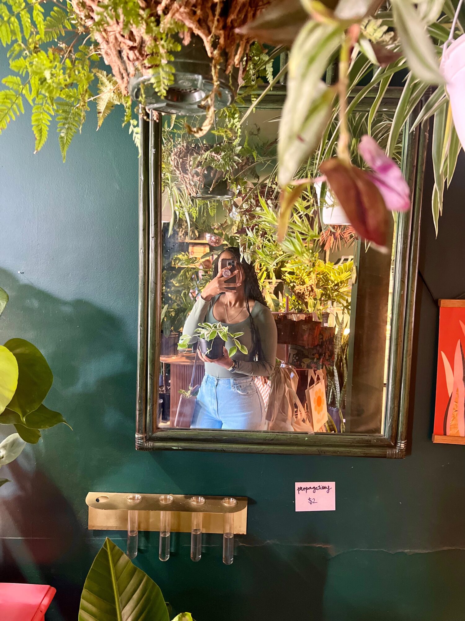 Person taking a photo in a mirror surrounded by plants and greenery, with a green wall background.