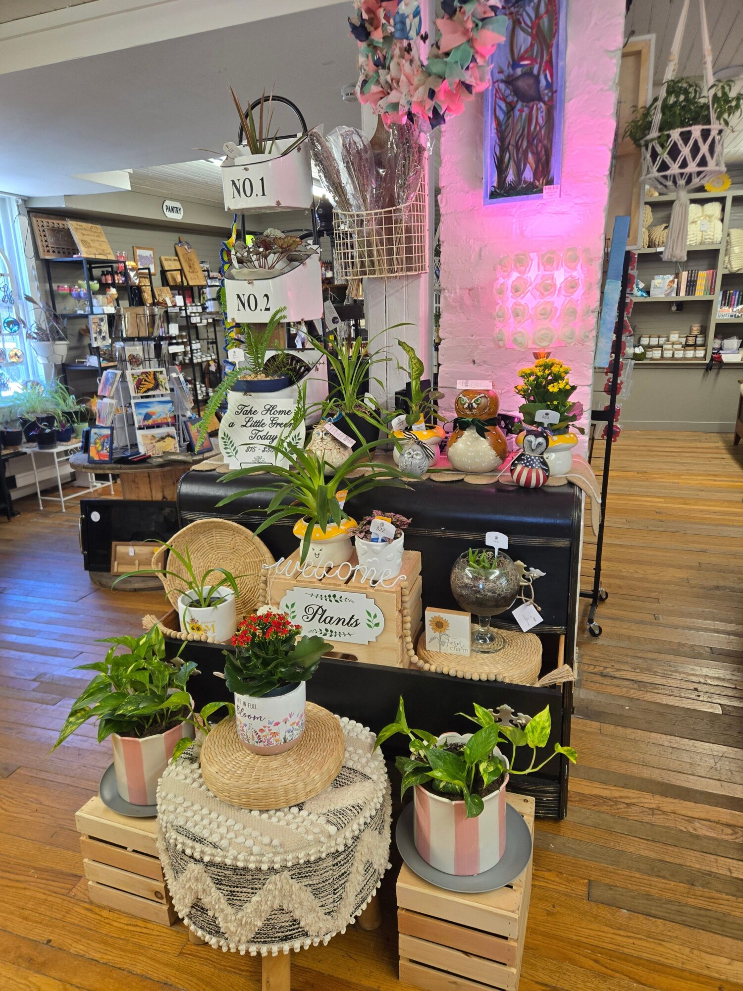 Decorative display with plants, hats, and a cake, arranged on a table with a black backdrop and wooden floor.