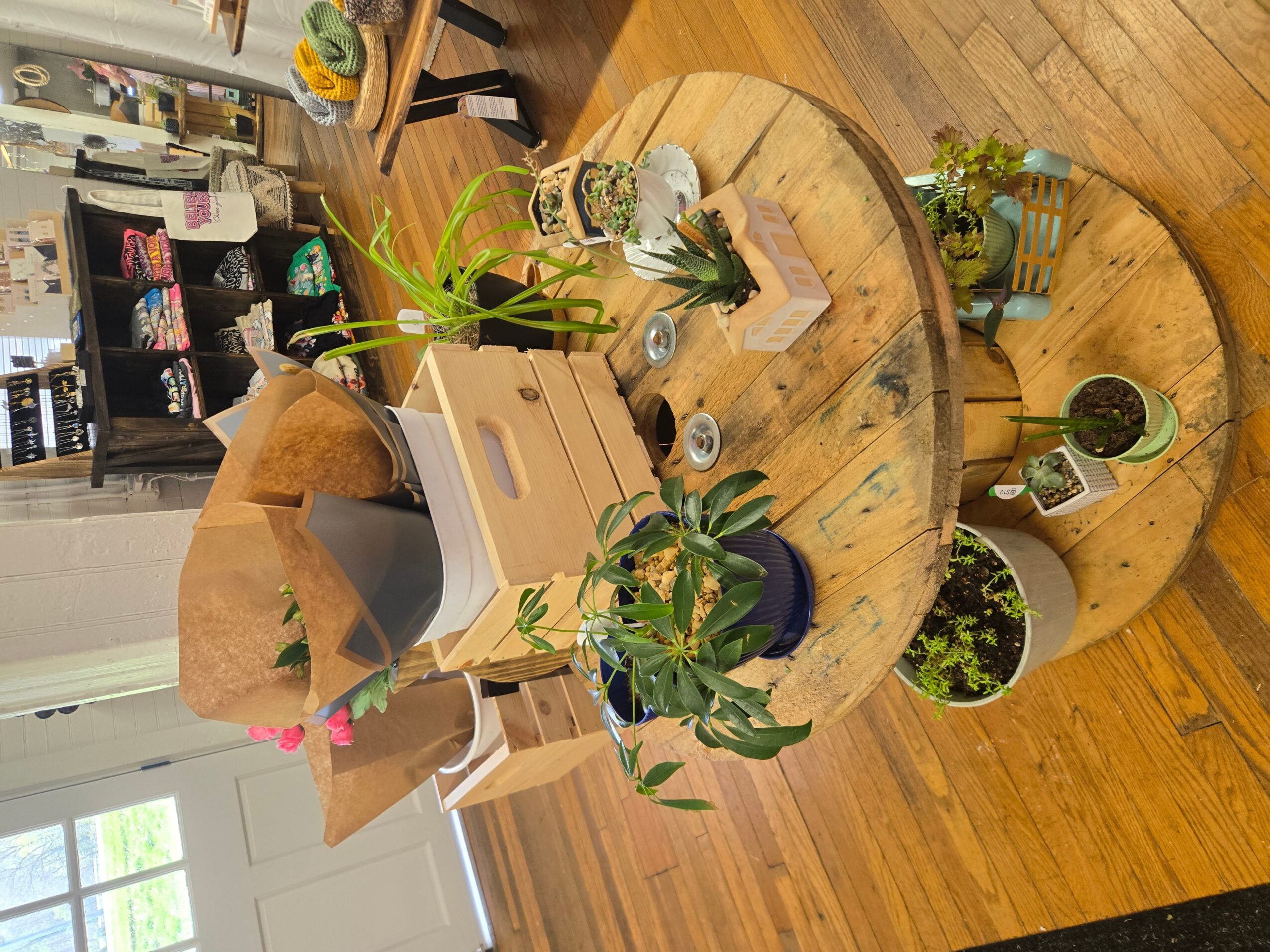 Round wooden tables with potted plants and decorative items, in a room with wooden flooring and shelves in the background.