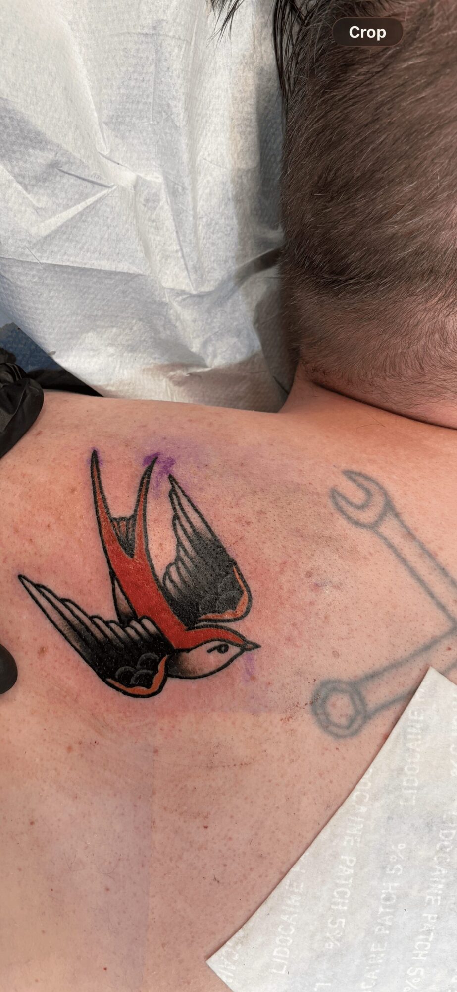 Tattoo of a red and black bird on person's shoulder with a wrench nearby, skin slightly red and irritated.