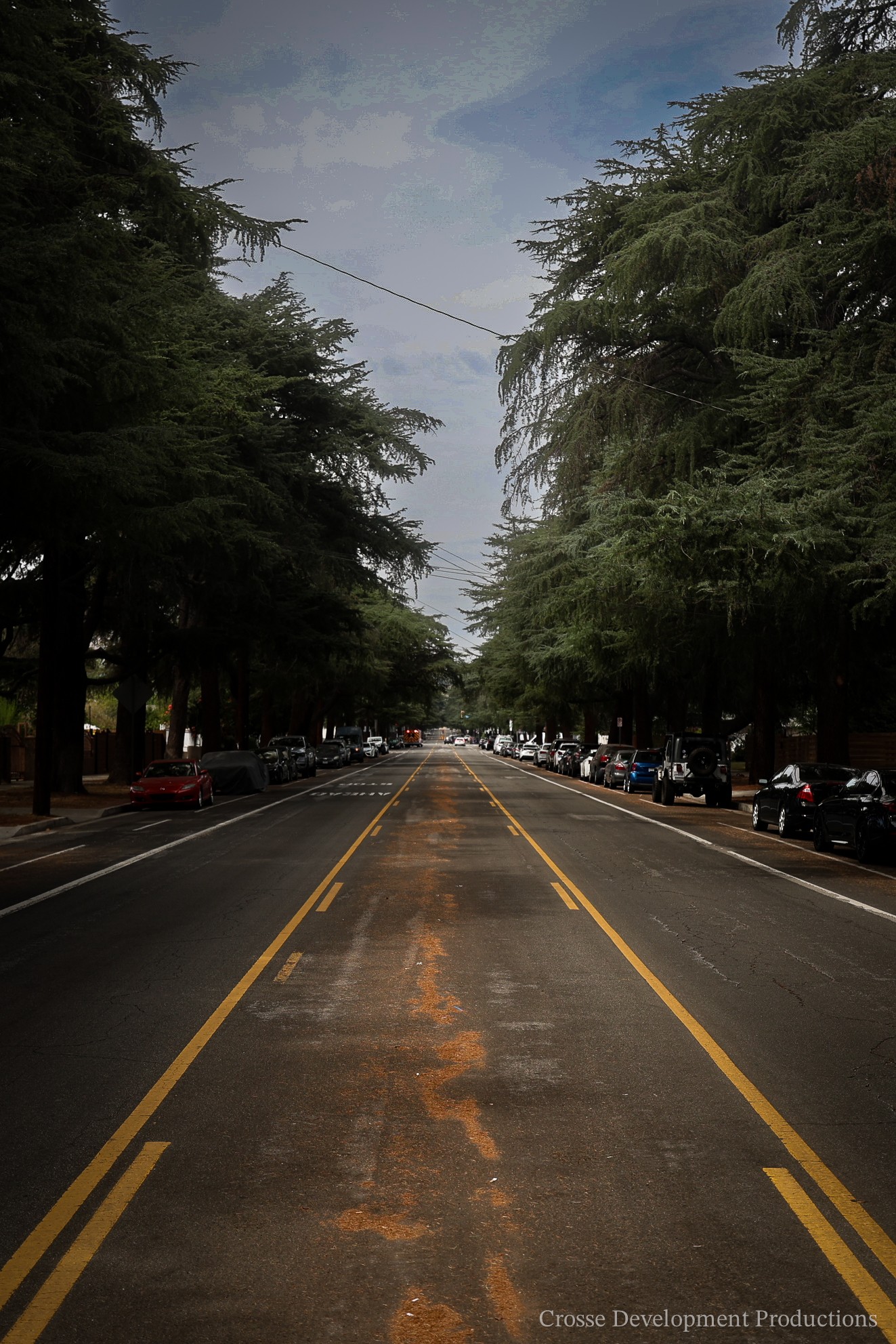 Straight road lined with tall trees on both sides, parked cars along the curb, and a cloudy sky above.