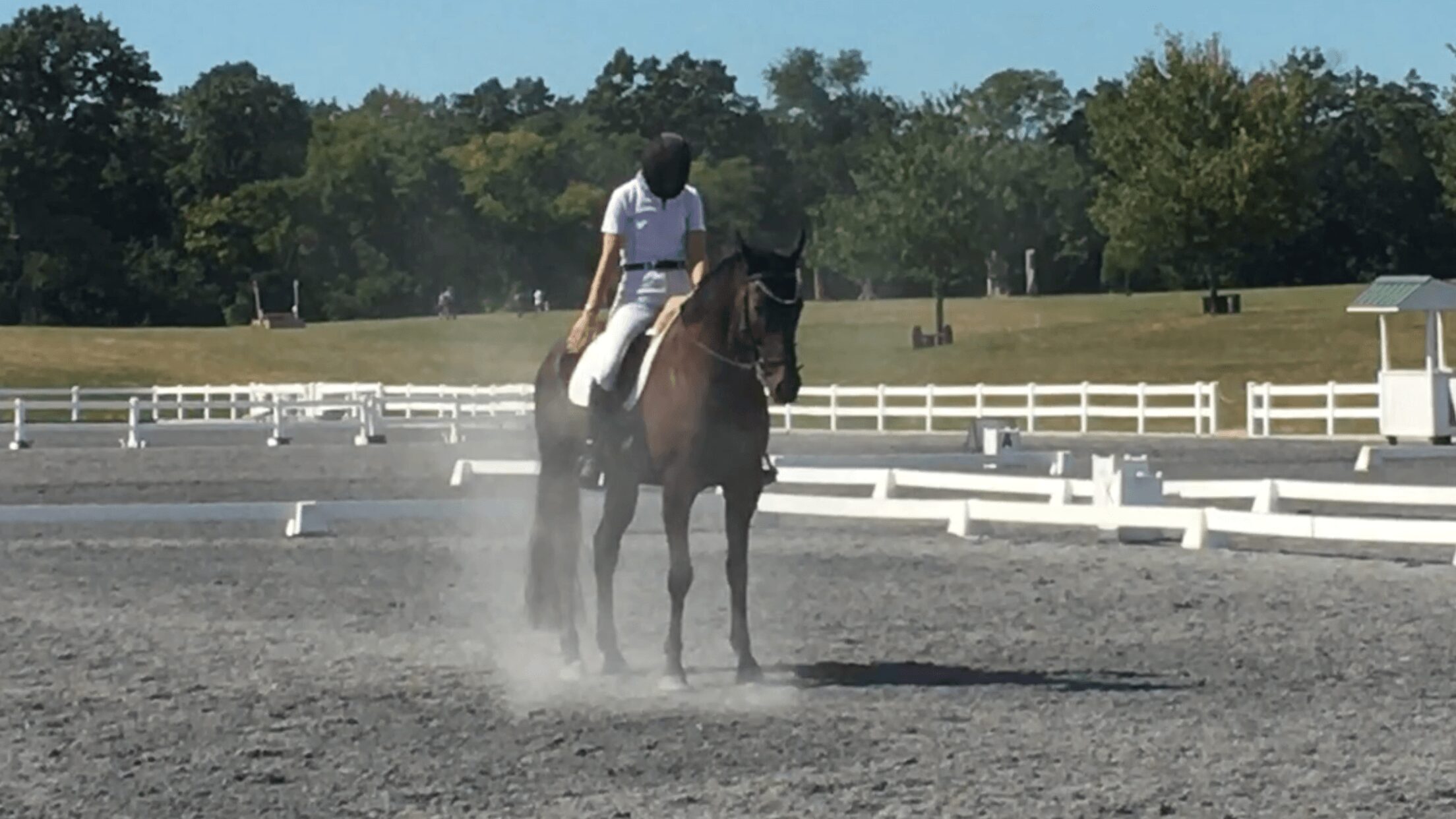 Person riding a horse on a dirt arena with white fencing and trees in the background.