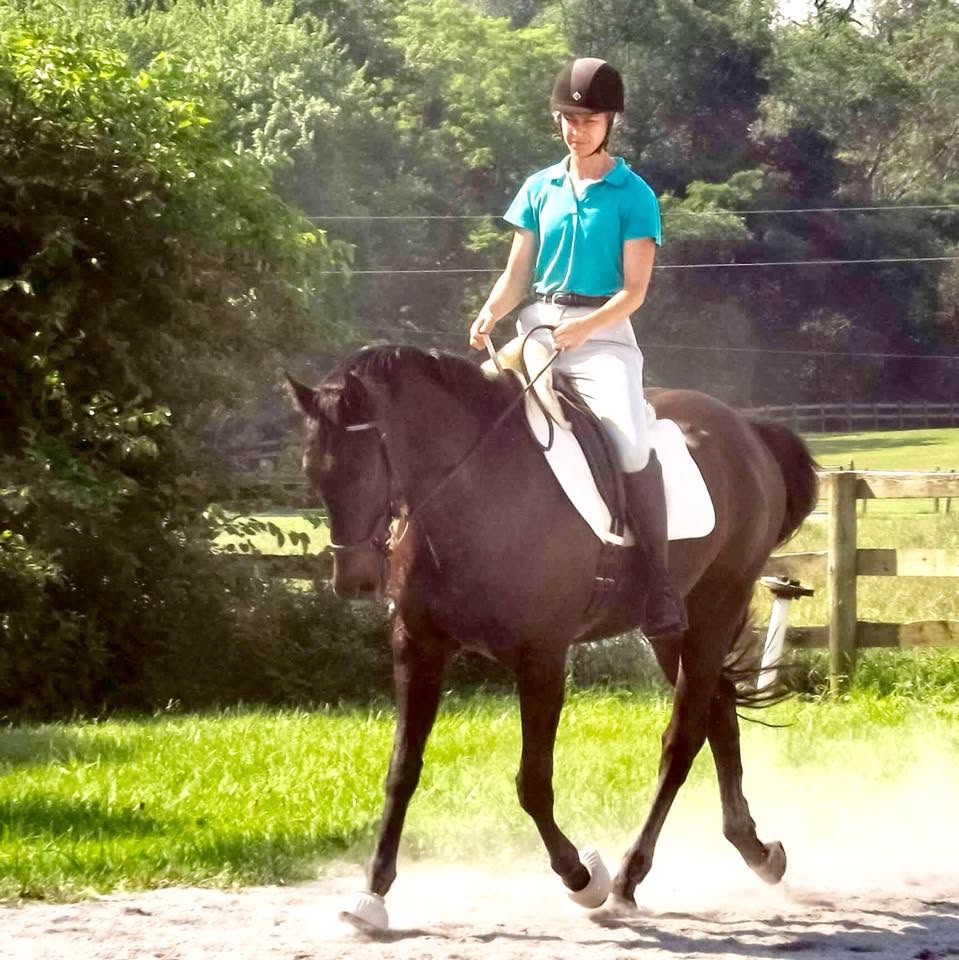 Person riding a dark horse on a dirt path, wearing a blue shirt, white pants, and a helmet, with trees in background.