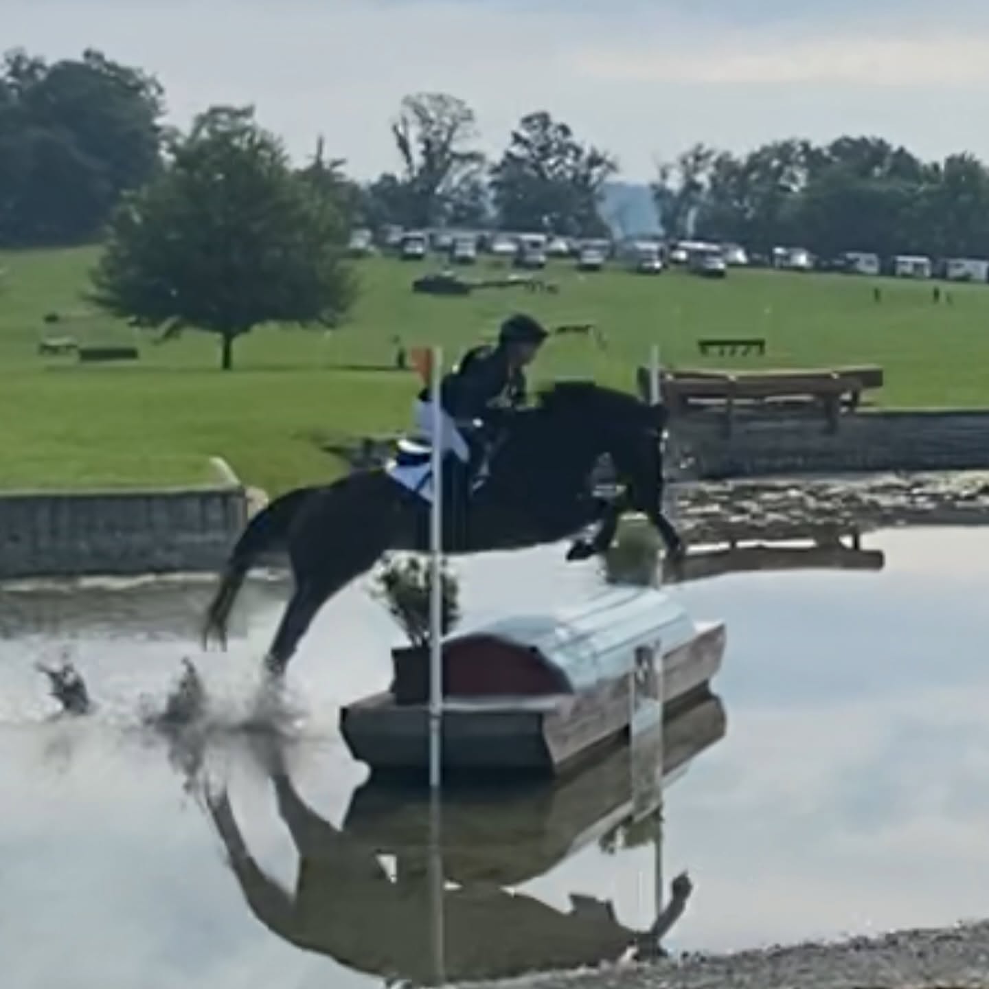 Person riding a horse jumping into water obstacle during an outdoor event, with trees and parked cars in background.