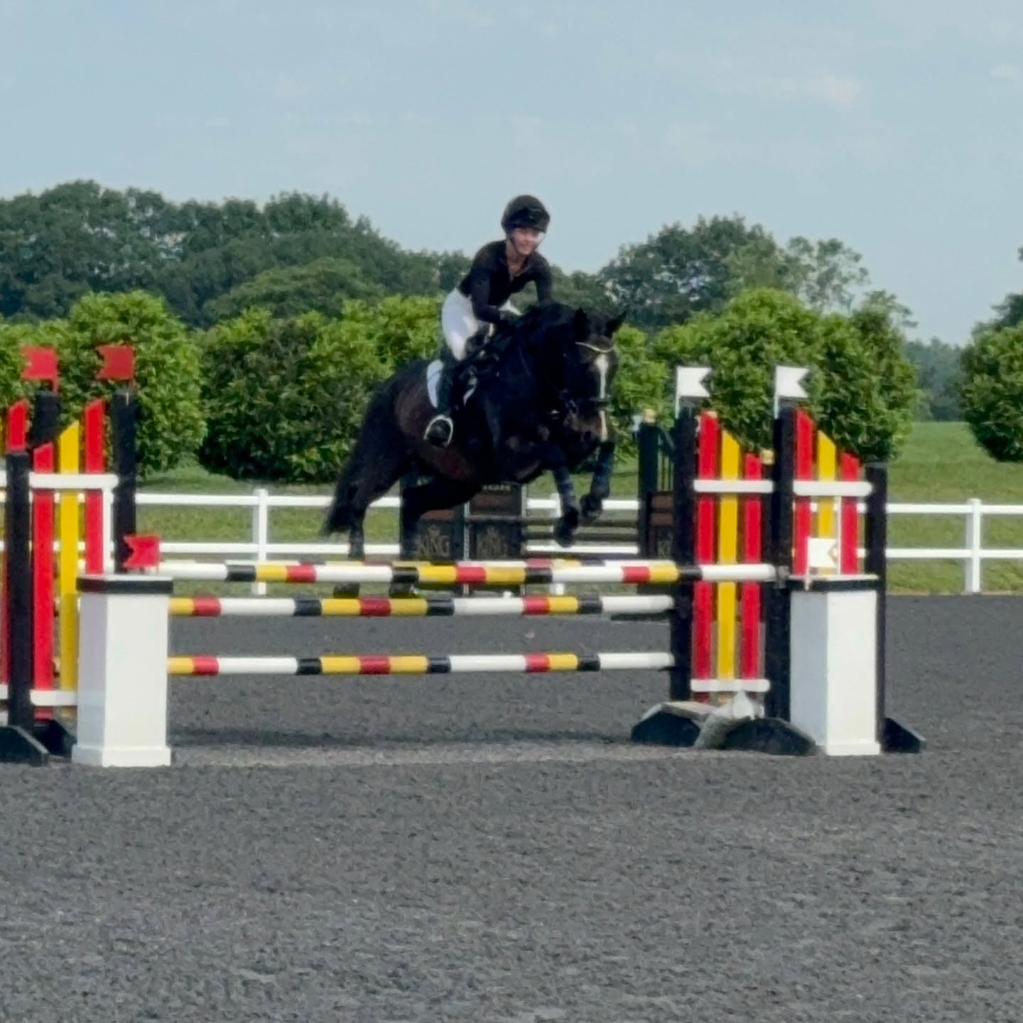 Person riding a horse over a colorful show jumping obstacle outdoors, with trees and a white fence in the background.