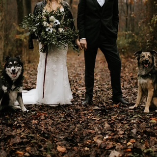 Couple holding hands with two dogs in a forest, fallen leaves on the ground, woman in a white dress, man in a black suit.