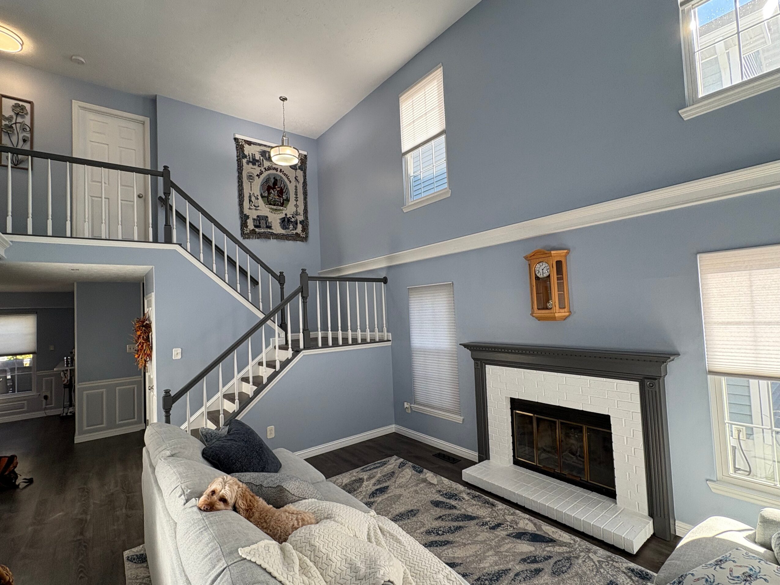 Living room with blue walls, staircase, fireplace, and large windows, with a dog lying on a sofa.