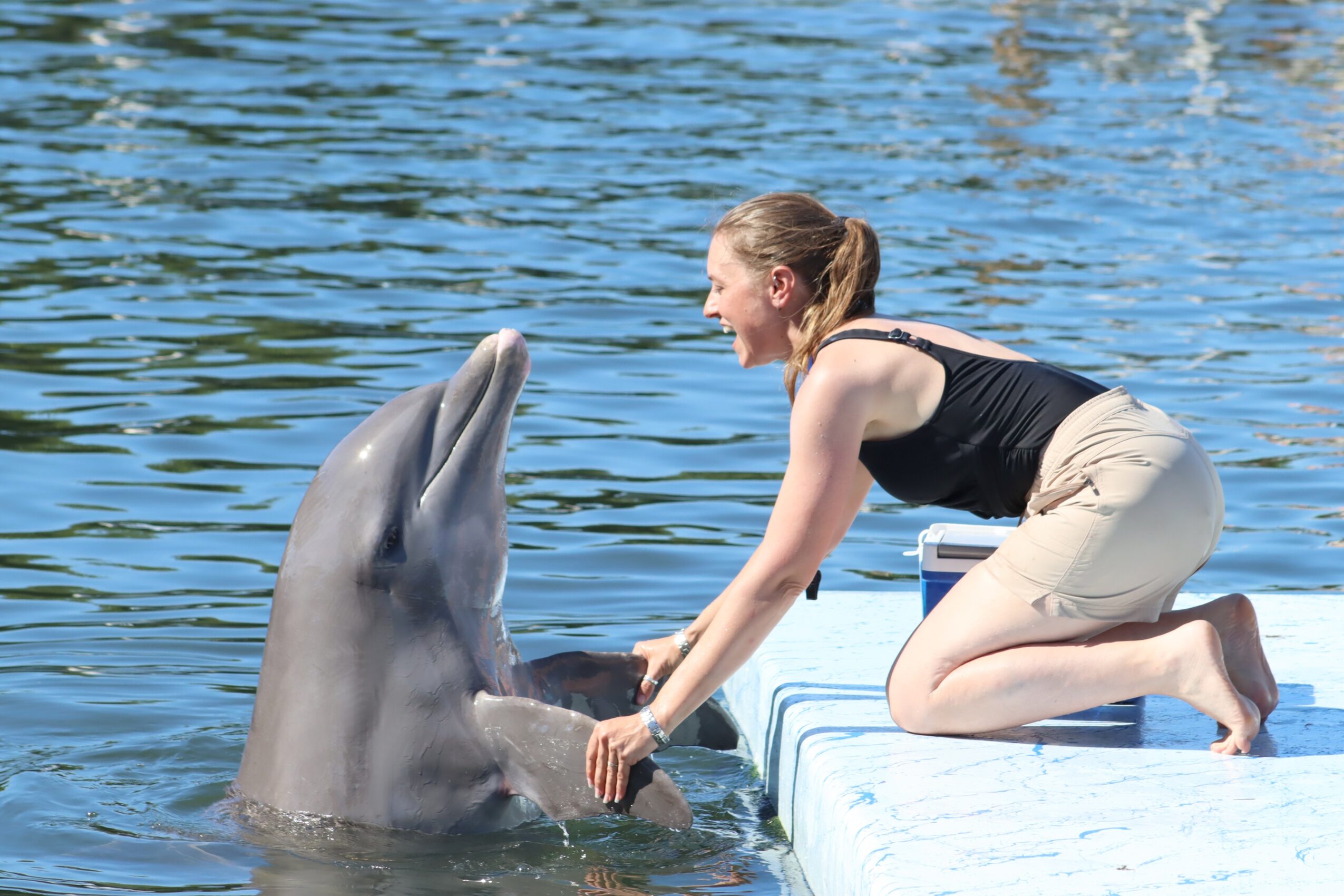 Woman leaning forward on a dock holding a dolphin's fins in water, smiling, with water in the background.
