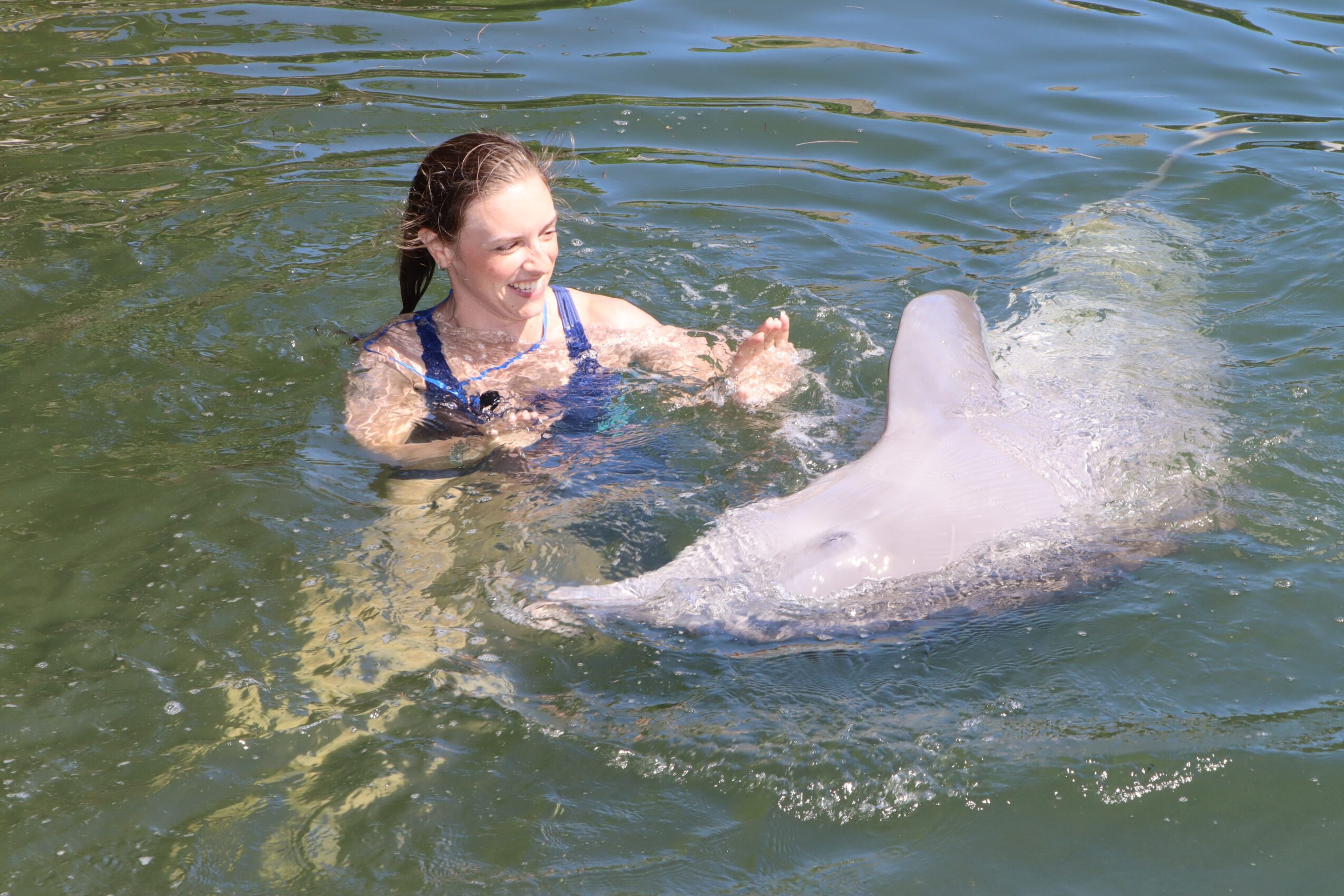Girl swimming in water with a large fish nearby, smiling and reaching out. Water is clear and calm.