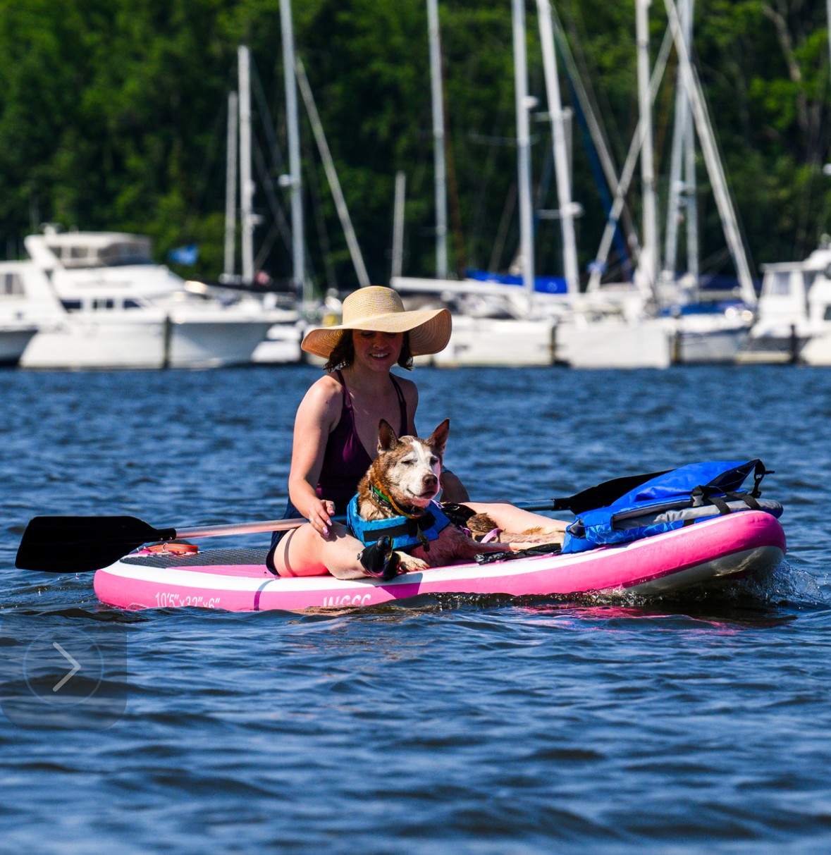 Person in a large sun hat and sunglasses paddling a pink paddleboard with a dog wearing a life jacket, on a lake with boats and trees in background.