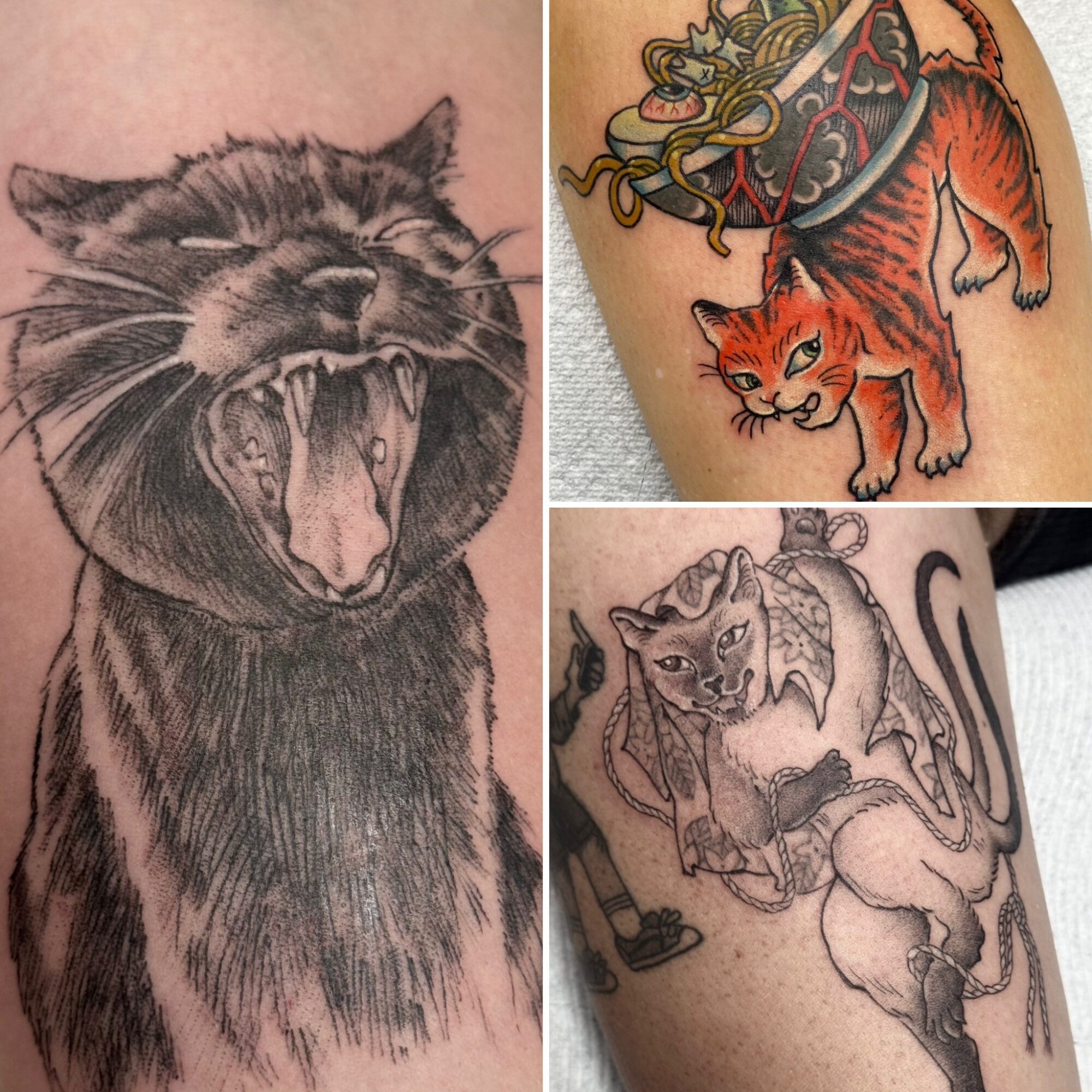 Three tattoos of cats: a roaring black cat, a stylized orange cat with a decorative background, and a sitting cat with a collar.