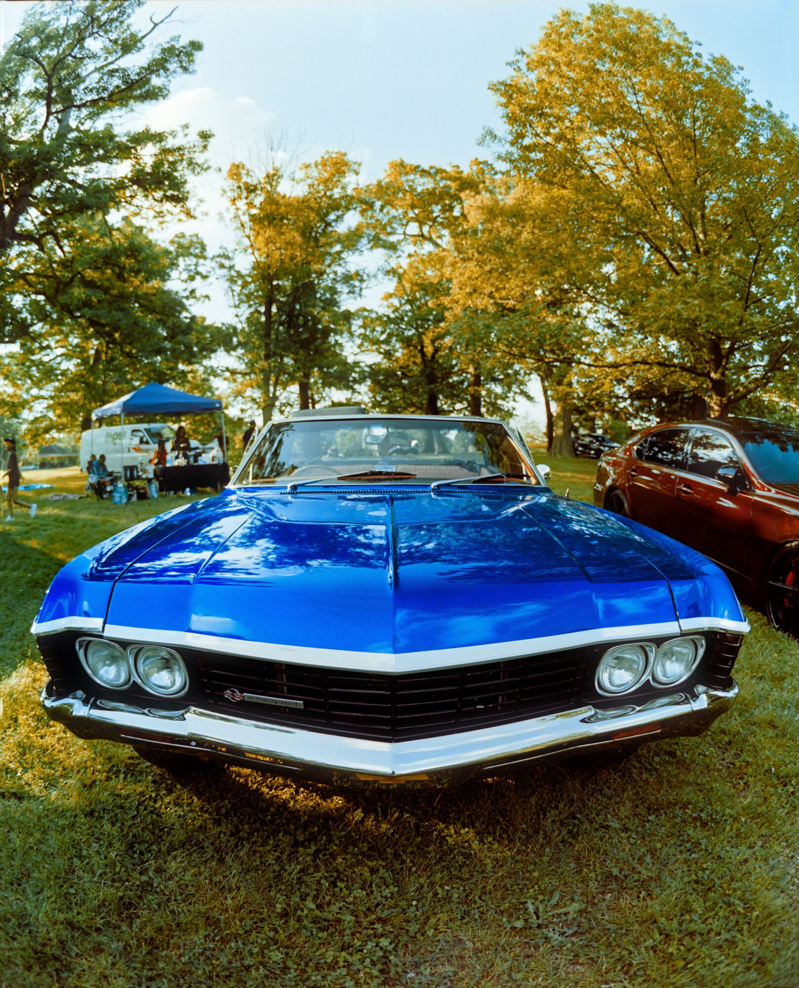 Front view of a blue classic car parked on grass with trees and other vehicles in the background.